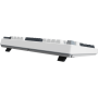 Clavier Gaming Sans Fil Forge GK600 TKL SKY FR Msi