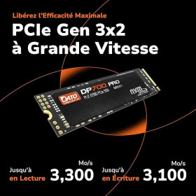 DATO SSD Interne 1 to, PCIe Gen3x4 NVMe M.2 2280 SSD, Jusqu’à 3300/3100 Mo/s - DP700 Pro Série DATO