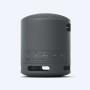 Haut-parleur sans fil portable Sony (SRS-XB100) sony