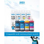 Pack GI-41 COMPATIBLE Pour G3420, G3430, G2420, G2430 GENERIC